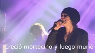 Him- Poison Girl (Live sub)