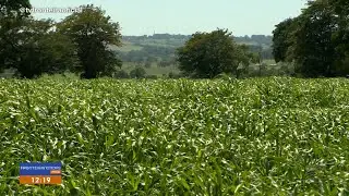 Caxambu protects water sources on rural properties.