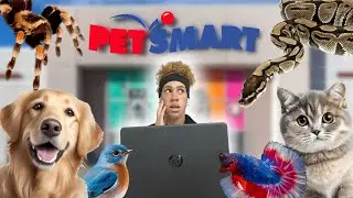 I GOT A NEW PET + LIFE  UPDATE VLOG! 