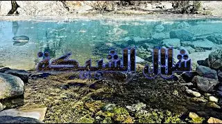 جولة في مدينة الشبيكة 🏞️|bienvenue dans la ville de Chebika|