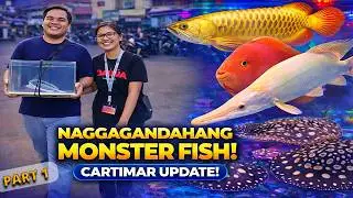 IBAT-IBANG URI NG MONSTER FISH SA CARTIMAR! Prices in Cartimar Pet Center
