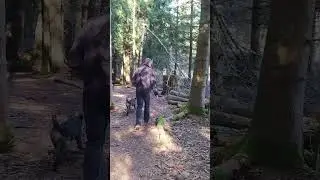 Walk - Forest - Marsens - Romanens (CH) - 5,7 km