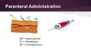 Administration of Medicines