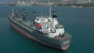 HALIM M