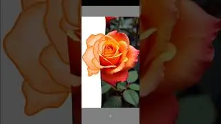 How to draw realistic flower in sketchbook app #flowers #drawing #sketchbookapp #digitalart #art