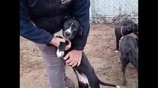 Vicky-2 Jan 26