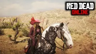 RED DEAD Online - #gamingmarathon #rdo #rdr2 #247 #gaming