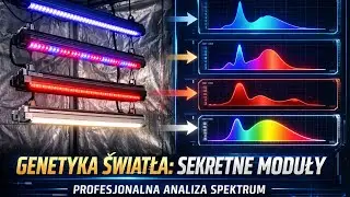 Najlepsze Panele LED Dla Roślin ? Philips HortiLED .