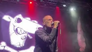 Screeching Weasel - Joanie Loves Johnny - Columbus, Ohio 2025