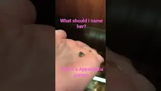 Name ideas anyone?