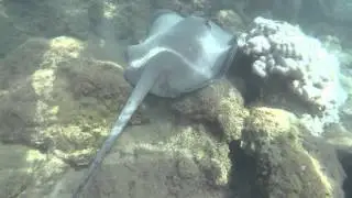 Kayak & Snorkeling Full Day Tour