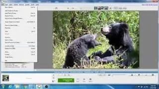 How to add a watermark to images