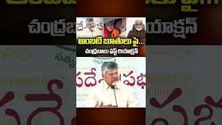 CM Chandrababu REACTS Over Unparliamentary Words -YCP Ambati Rambabu #news