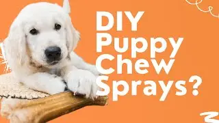 5 DIY Puppy Chew Sprays [Stop Puppy Chewing Everything]