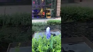 @ Ballston  neighborhood
