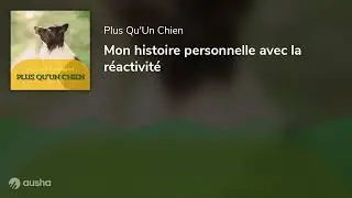 Mon histoire personnelle avec la réactivité