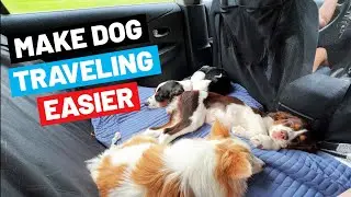 4 Things You Need To Make Traveling With Dogs Safer And Easier
