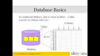 Manage Tables in SQL: CREATE TABLE, DROP TABLE, TRUNCATE TABLE