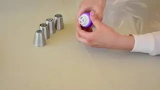 Russian Piping Tips Tricolor Coupler Tutorial