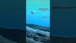 Lake Superior Underwater Footage! Grand Marais, Michigan. Part 2 #nature #travel #fishing #fish
