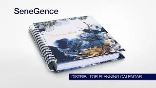 Distributor Planning Calendar