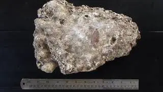 ORANG GADANG (SUMATRAN BIGFOOT) CAST