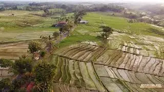Rumah diantara sawah-sawah terasiring, Jatipurno, Wonogiri