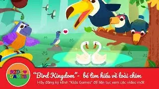 B&eacute; t&igrave;m hiểu c&aacute;c lo&agrave;i chim - Bird Kingdom - Kids Games