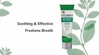 Vet's Best Dog Toothbrush & Enzymatic Toothpaste Kit
