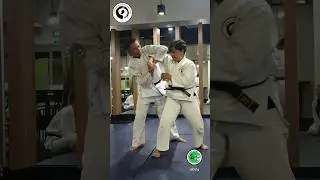 合気道 | Institut Aikido Indonesia | The Energy Dojo