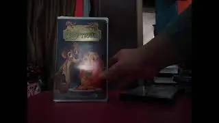 2 Different Versions Lady And The Tramp