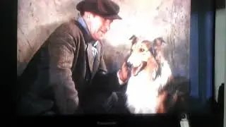 Lassie come home part 1 clip