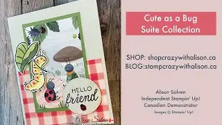 Cute as a Bug Suite