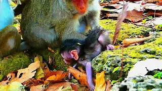 Awesome reaction of mother doing the best to hold baby up really quickly, So cute newborn baby..