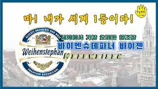 강력추천 맥주 바이엔슈테파너 헤페바이젠Weihenstephaner hefeweissen