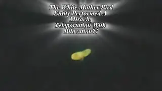 MIRACLE Three White Bird Entities, Orb Flares Up After Convincing, Orbs May 18th, 2025