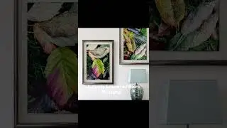 Autumn Vibrant Leaves Wall Art Set of 4 | Nature Closeup Original Photography | Unstretched Canvas