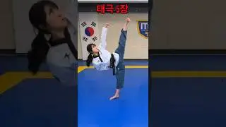 Taegeuk5 | Taegeuk Oh Jang | Taekwondo #shorts