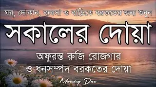 সকালটা শুরু হোক হৃদয় শীতল করা বরকতময় আয়াত দিয়ে। সকালের দোয়া ও জিকির। Morning Dua Full by Alaa Aqel