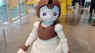 robot museum near rainbow bridge