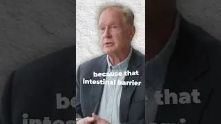 What Are Anti-Inflammatory Foods and Why Are They Crucial for Health? | Dr. Robert Lustig