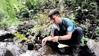 #fieldengineer #organic #survival #edibleplants