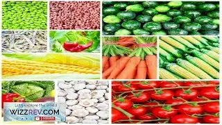 150+ Heirloom Vegetable Seed 6 Variety Garden Set #5 Emergency Survival NON GMO
