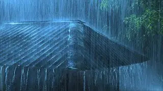 Super Heavy Rain for FAST Sleep - Deep Sleep with Heavy Rain on Tin Roof, Relax, ASMR