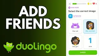 How to Add Friends on Duolingo 2025?