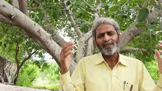 Green Consultancy: Let's plan greening with experts