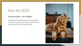 Community Cats Grants Overview and Cool Tools | Brianna Lovell Myers | 2022 Fundraising Day
