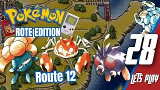 Die Route, die niemand benutzt 🔴 Let&rsquo;s Play POK&Eacute;MON Rote Edition #28 (Route 12)