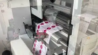 Giant-370 Double Stations Semi Rotary Die Cutter&Semi Rotary Flexo Printing Machine