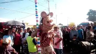 el paseo del cerrillo vista hermosa carnaval de locos 11 de Marzo2018